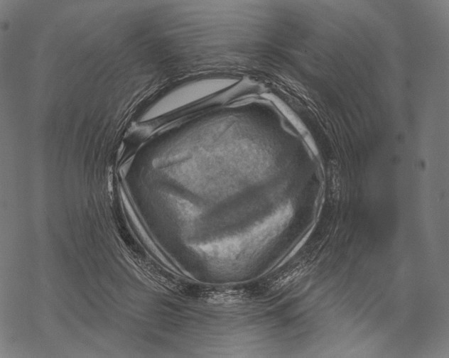 X0000068820550200605261553