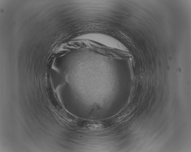 X0000068820552200605261553