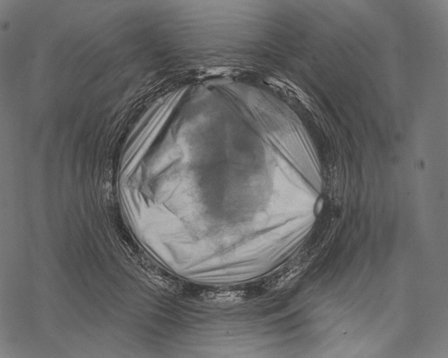 X0000068820553200605261553