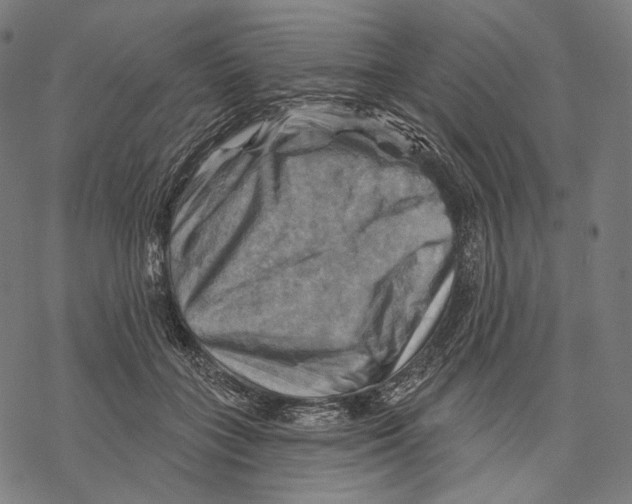 X0000068820555200605261553