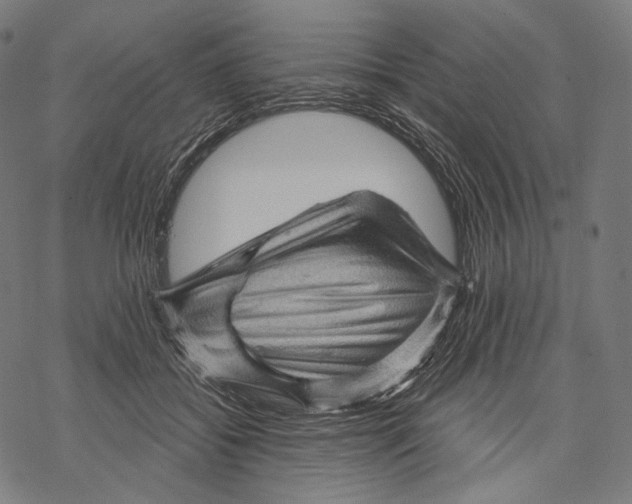 X0000068820556200605261553