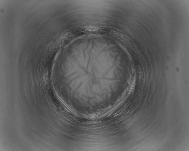 X0000068820559200605261553