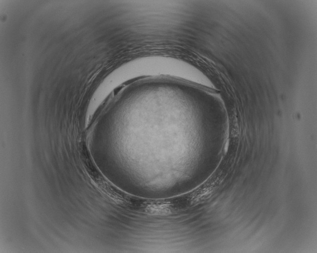 X0000068820560200605261553