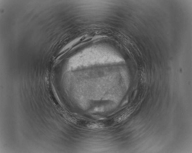 X0000068820561200605261553