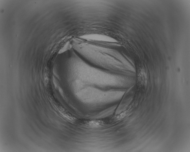 X0000068820566200605261553