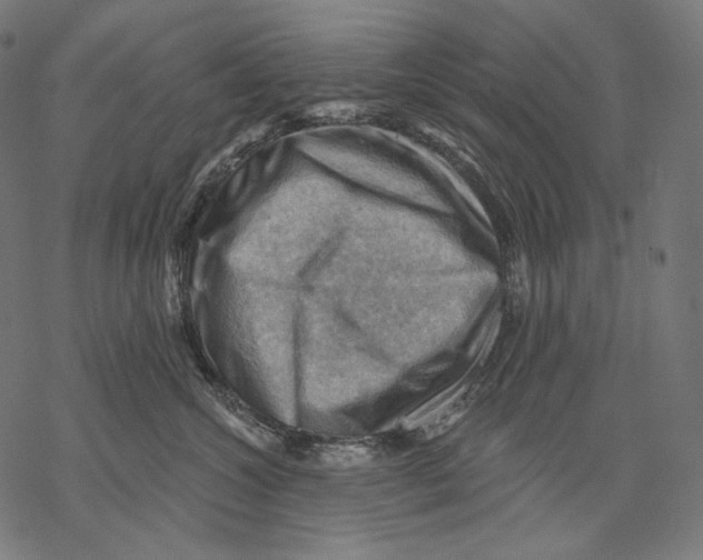 X0000068820572200605261553