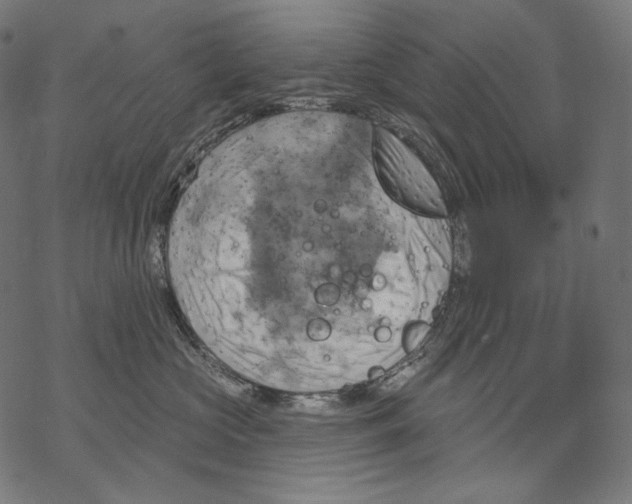 X0000068820573200605261553