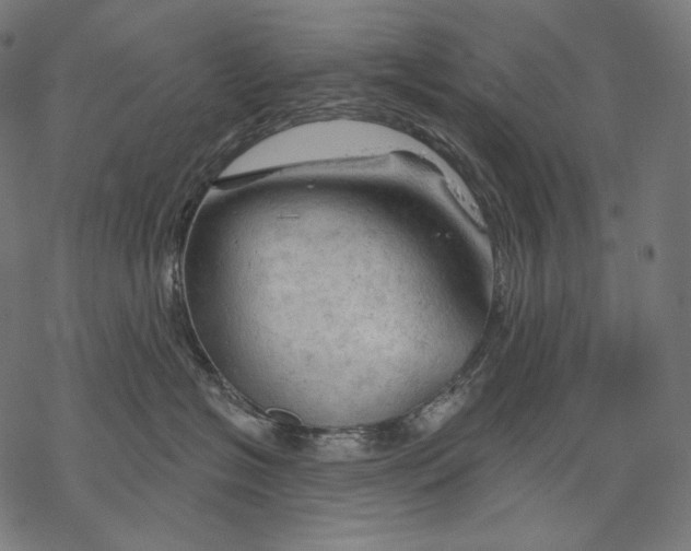 X0000068820574200605261553