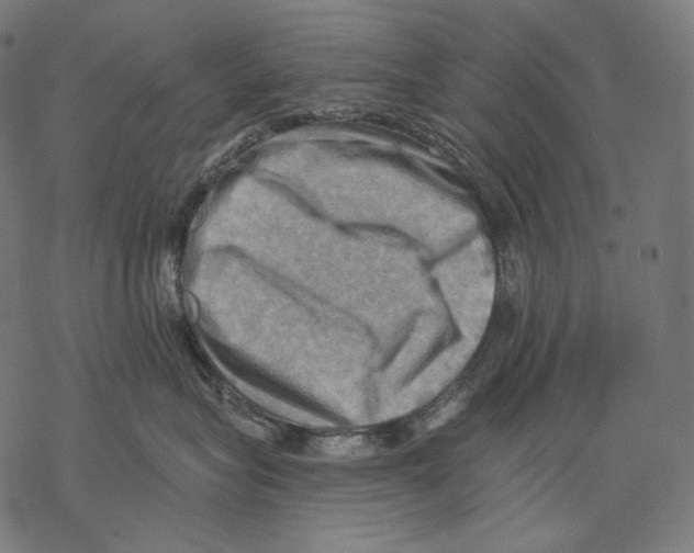 X0000068820575200605261553