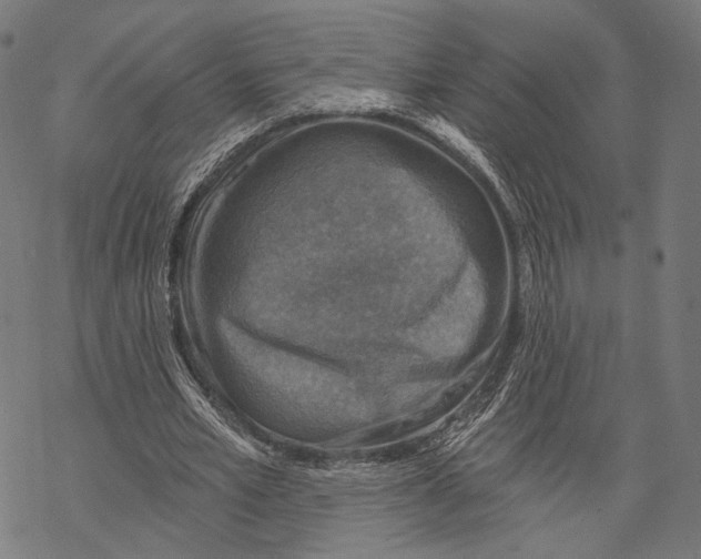 X0000068820581200605261553