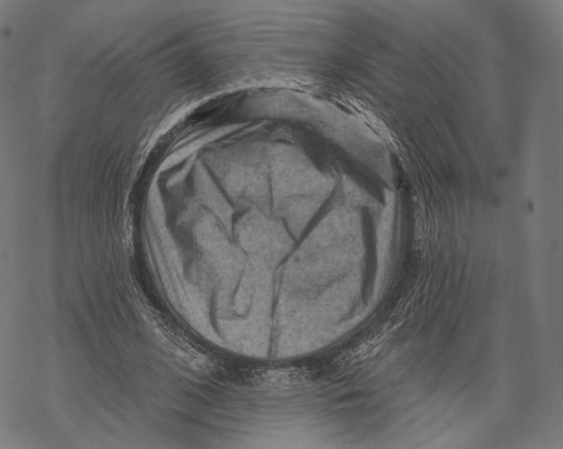 X0000068820584200605261553