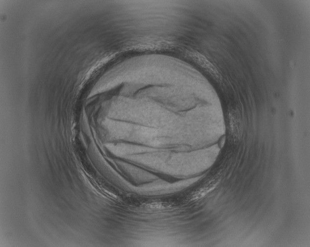 X0000068820588200605261553