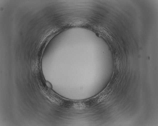 X0000068820591200605261553