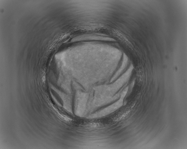 X0000068820593200605261552