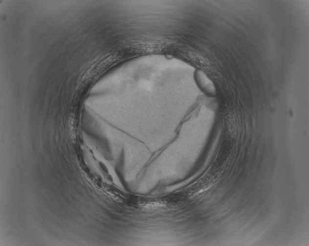 X0000068820594200605261552