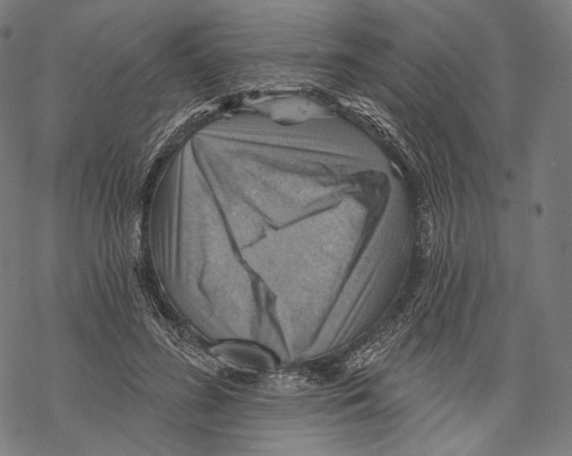 X0000068820596200605261552