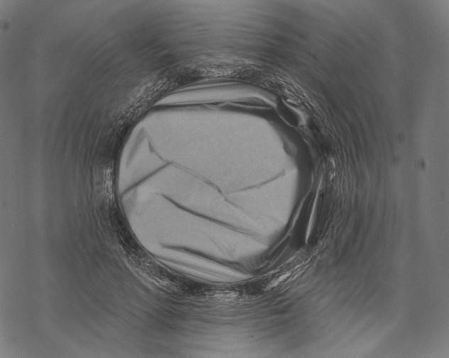 X0000068820598200605261552