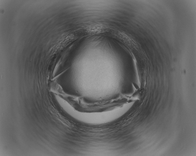 X0000068820601200605261552