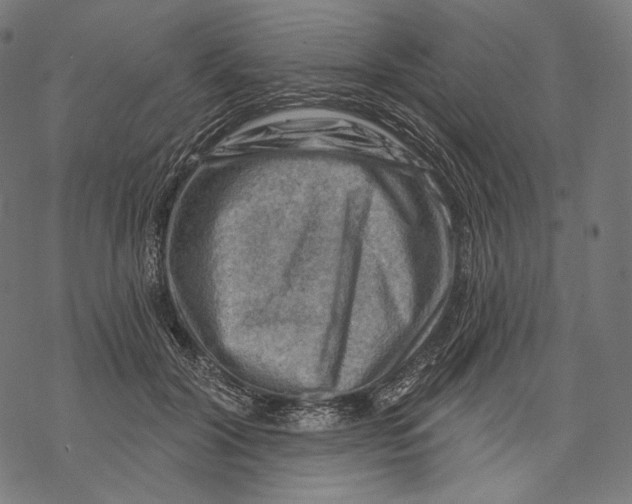 X0000068820604200605261552