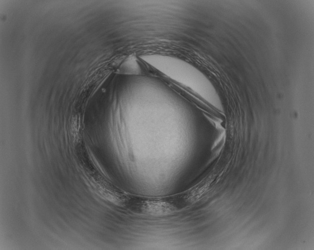X0000068820605200605261552