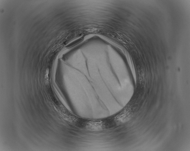 X0000068820606200605261552