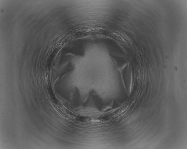 X0000068820607200605261552