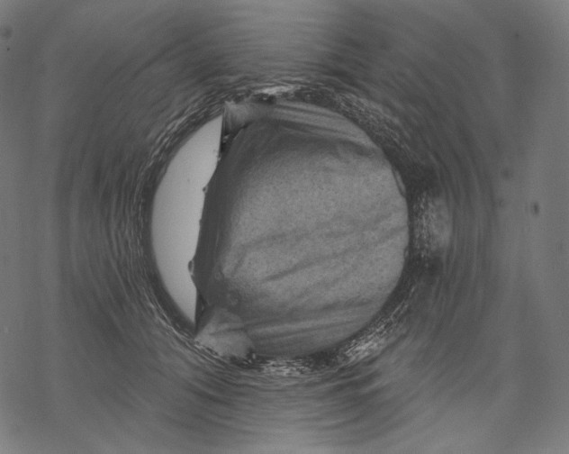 X0000068820608200605261552