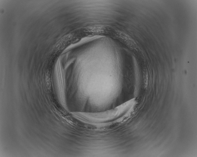 X0000068820609200605261552