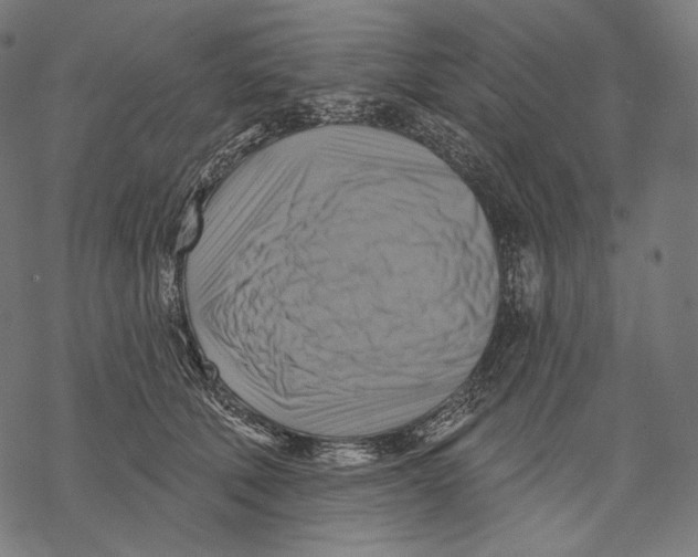 X0000068820610200605261552