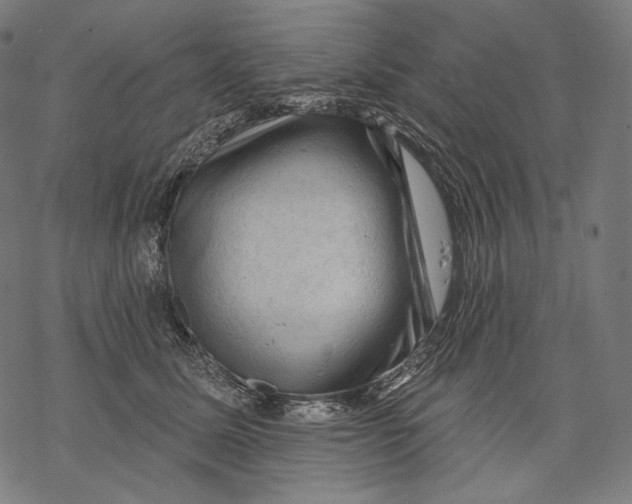X0000068820611200605261552