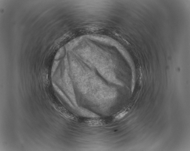 X0000068820615200605261552