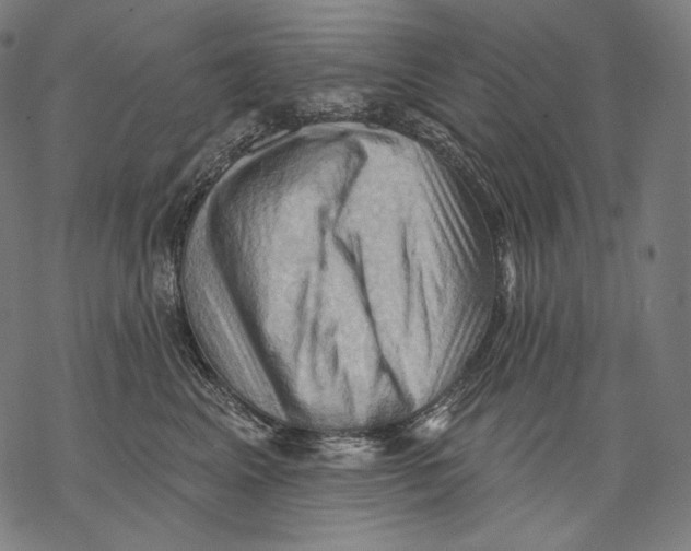 X0000068820617200605261552