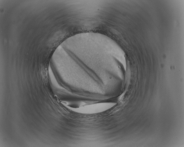 X0000068820624200605261552