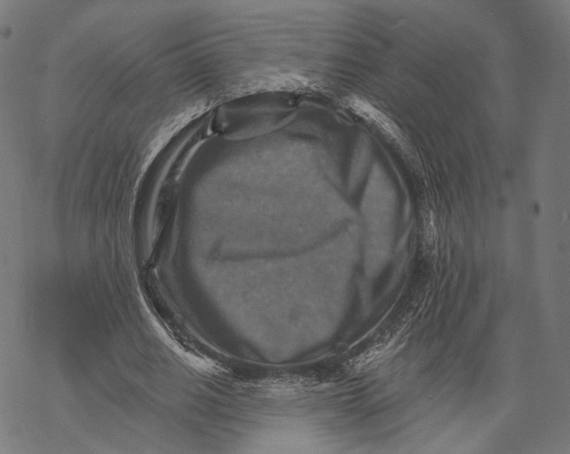 X0000068820630200605261551