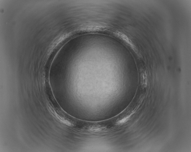 X0000068820631200605261551