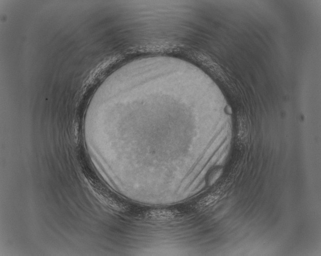 X0000068820636200605261551