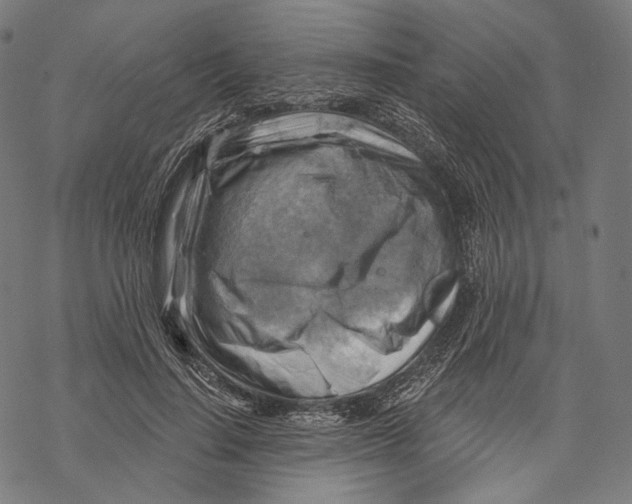 X0000068820644200605261552