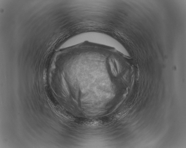 X0000068820646200605261552