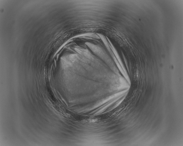 X0000068820647200605261552