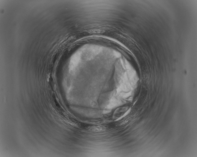 X0000068820652200605261552