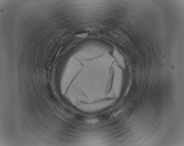 X0000068820653200605261552