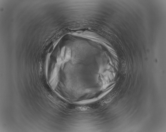 X0000068820654200605261552