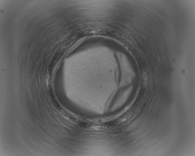 X0000068820657200605261552