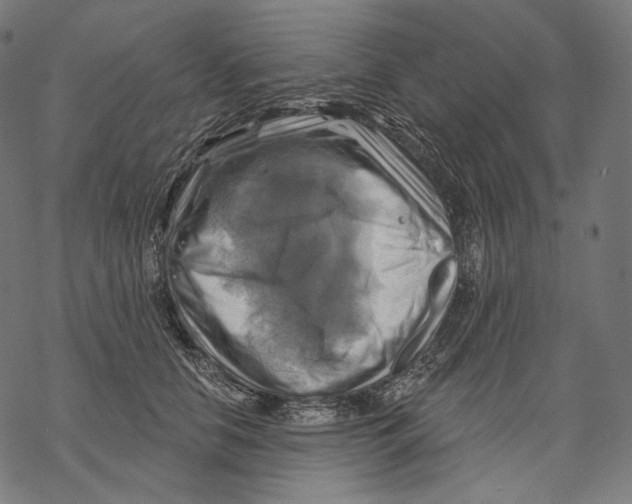 X0000068820658200605261552