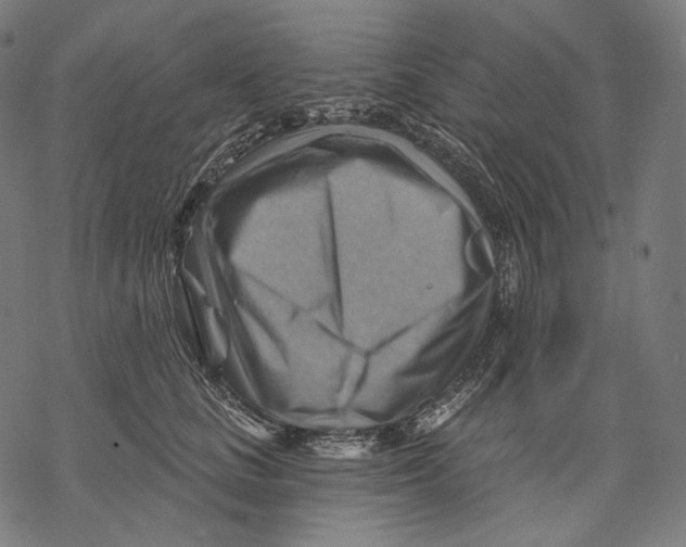 X0000068820661200605261552