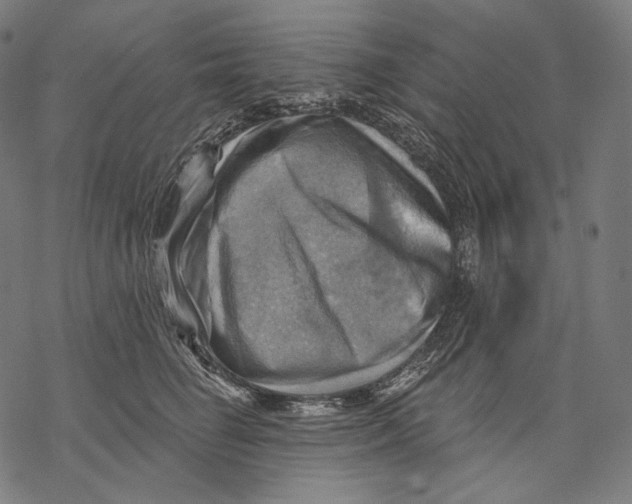 X0000068820662200605261552