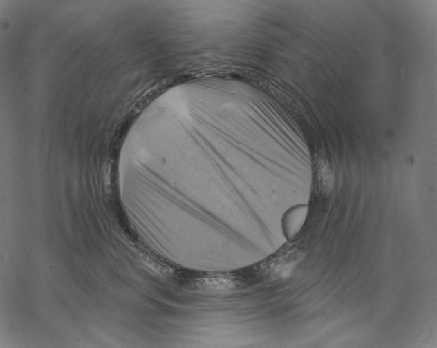 X0000068820668200605261552