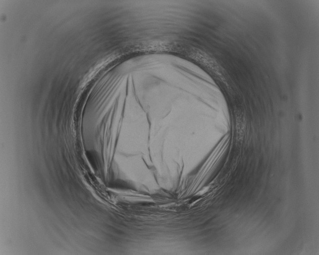 X0000068820674200605261551