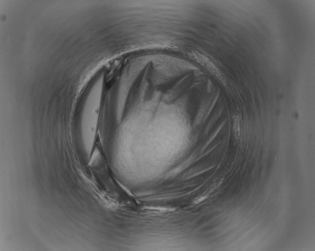 X0000068820676200605261551