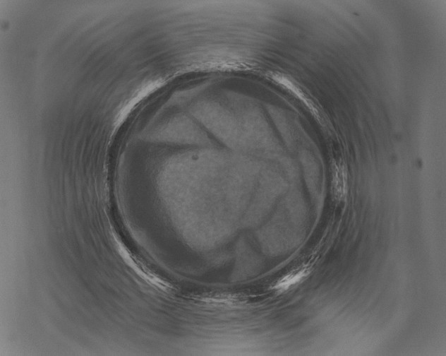X0000068820677200605261551